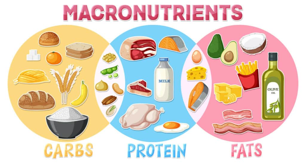 Micronutrients and Fitness